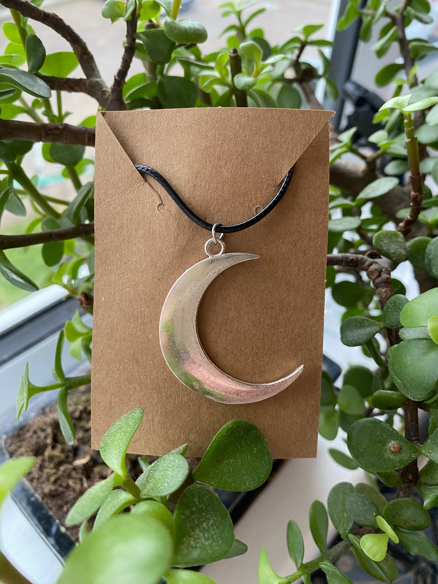 Silver Moon🌙
