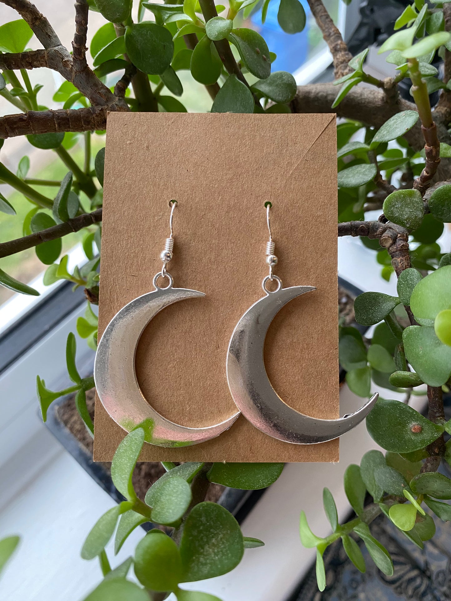 Silver Moon🌙