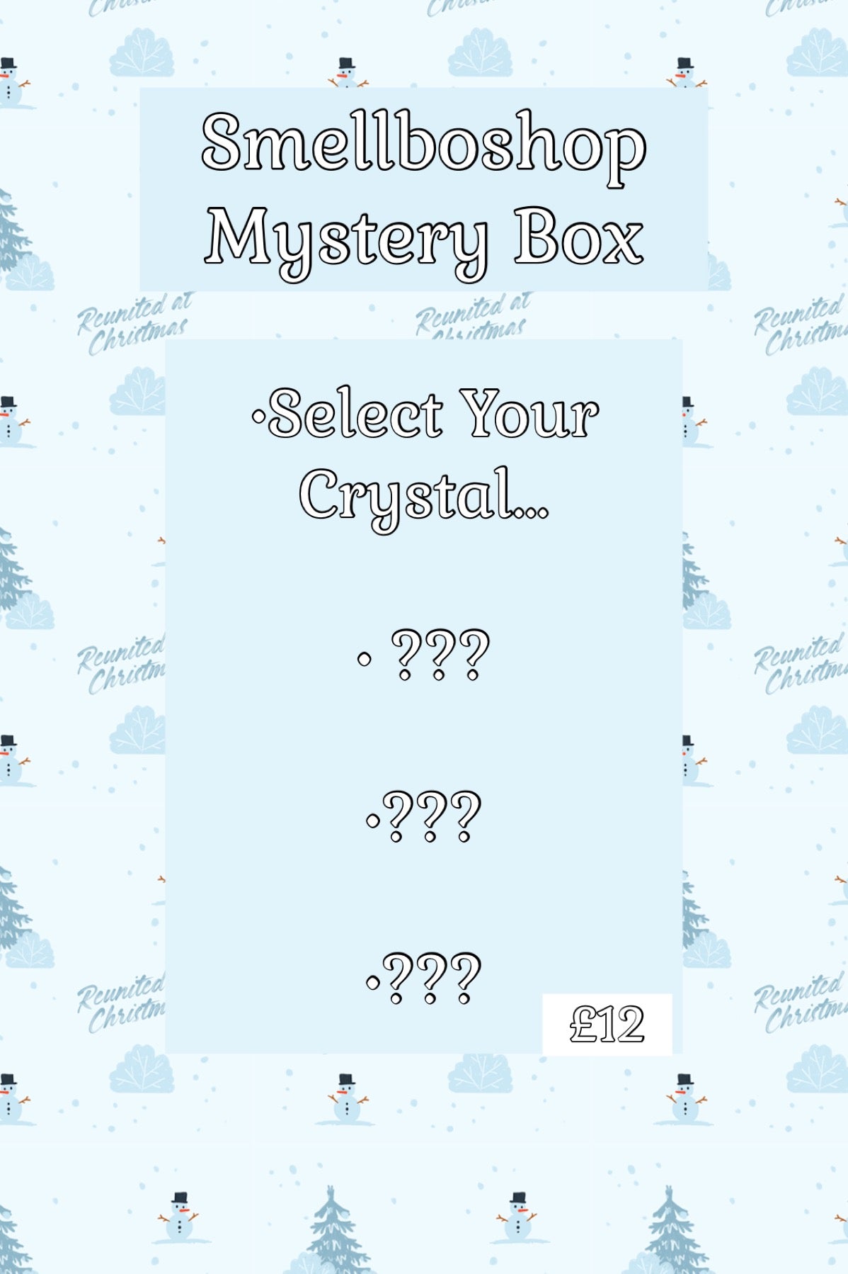 Mystery Christmas Box